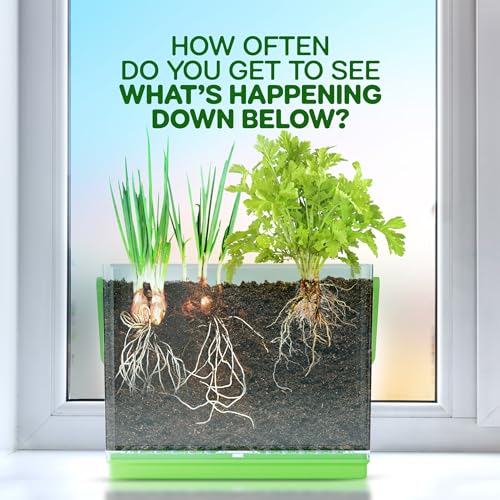 Clear Root Viewer Growing Kit