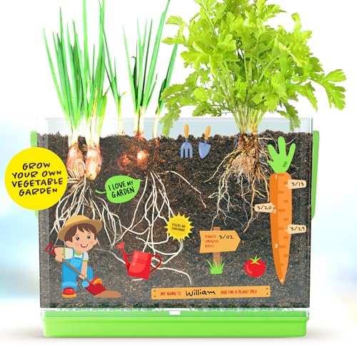 Clear Root Viewer Growing Kit