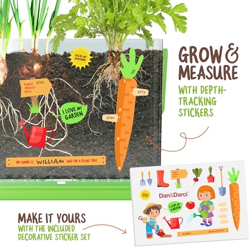 Clear Root Viewer Growing Kit