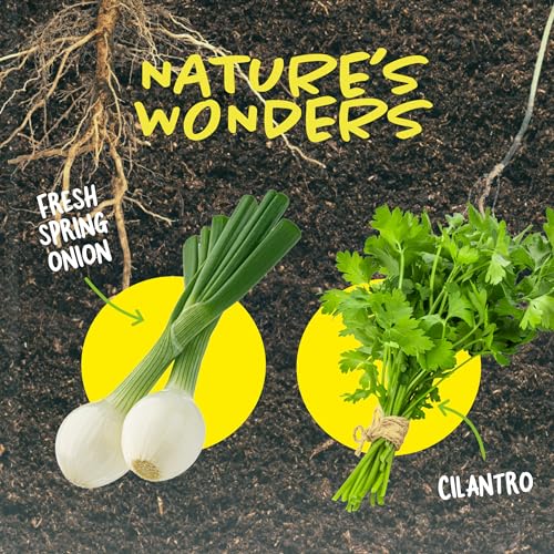 Clear Root Viewer Growing Kit